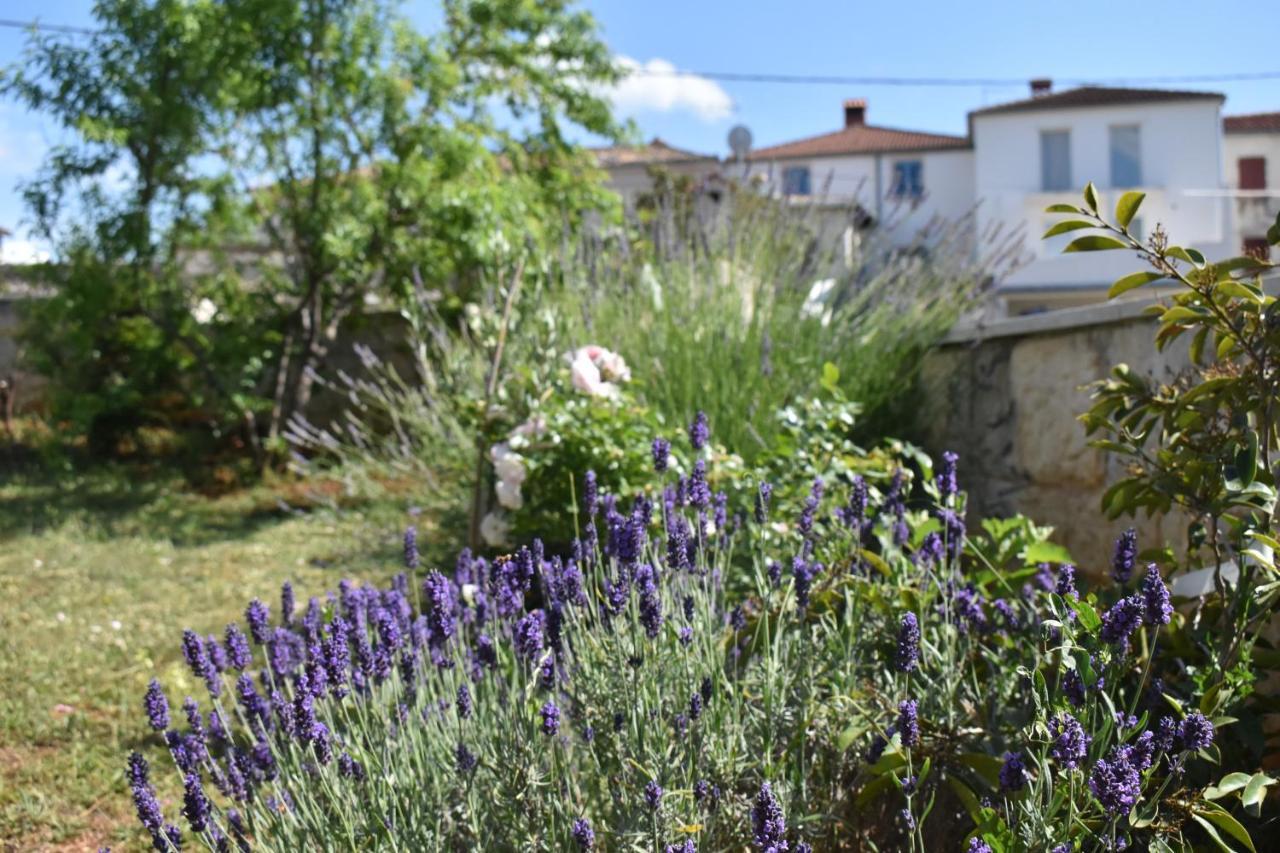 Lavanda 2 Poreč